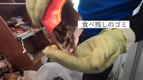 カビが生えたポテトの残骸