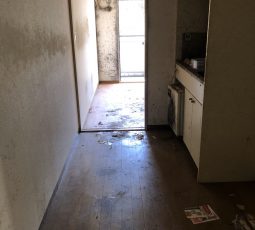 ゴミ屋敷の片付け 撤去後の写真